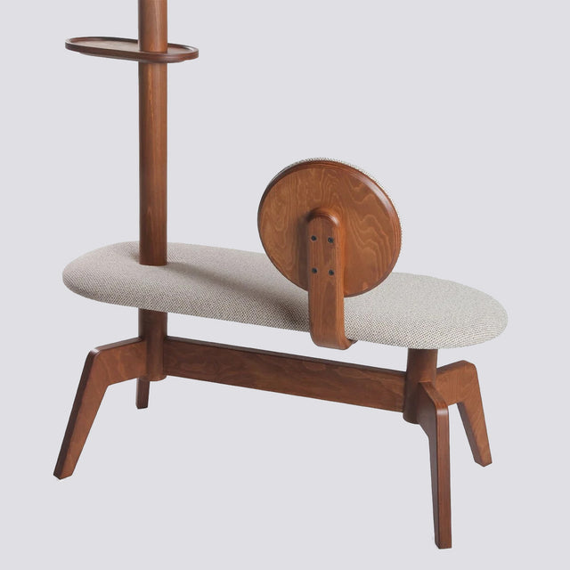 Kaktüs Sırtlıklı