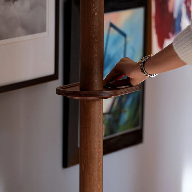 Kaktüs Sırtlıklı