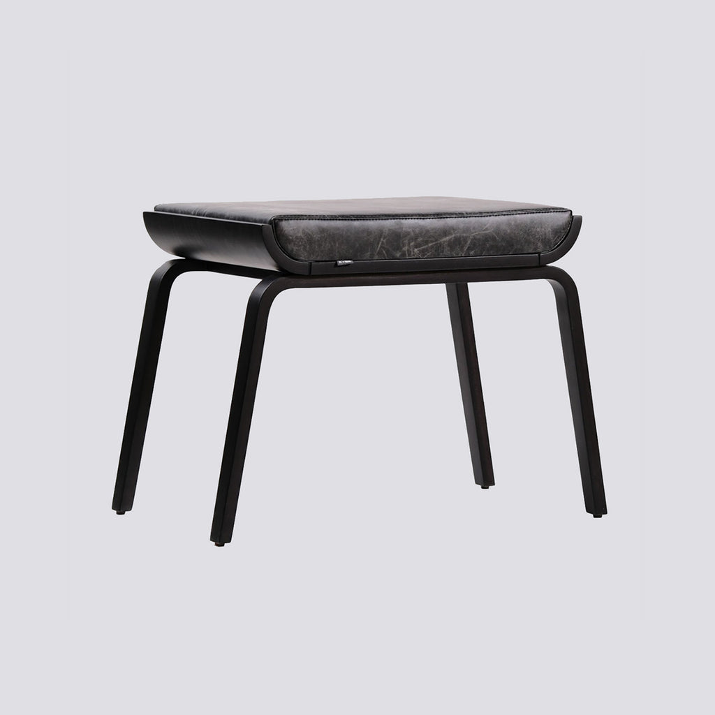 Module Pouf