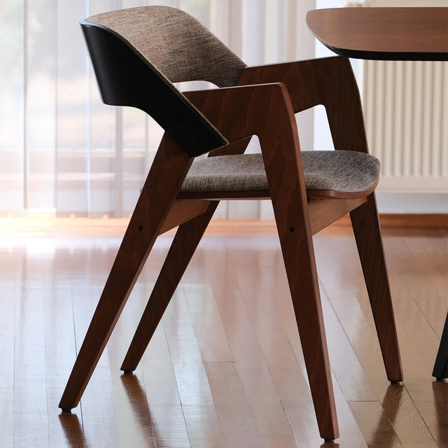 Nest Back Transparent Black Body Light Walnut