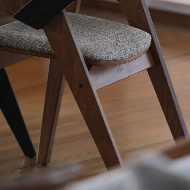 Nest Back Transparent Black Body Light Walnut