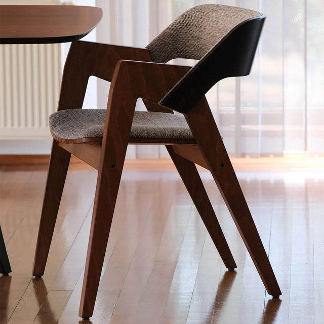 Nest Back Transparent Black Body Light Walnut